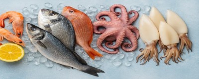 Риба и морски дарове – премиум качество